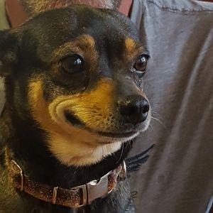 Meet your Posher, Stacey